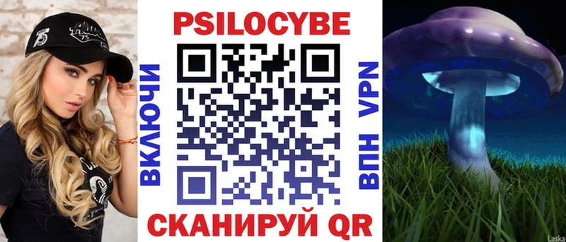 Купить  Кондопога  Галлюциногенные грибы Psilocybe 